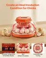 Plně automatický inkubátor na 12 vajec, inkubátor na vejce, s obracečem vajec, regulací teploty a vlhkosti VEVOX035EU | červená