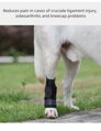 Opěra nohou psa pro podporu kotníku Rear Leg  ortéza, Barvy S