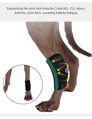Opěra nohou psa pro podporu kotníku Rear Leg  ortéza, Barvy S