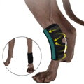 Opěra nohou psa pro podporu kotníku Rear Leg  ortéza, Barvy S