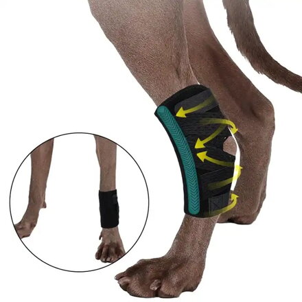 Opěra nohou psa pro podporu kotníku Rear Leg  ortéza, Barvy S